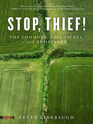 cover image of Stop, Thief!